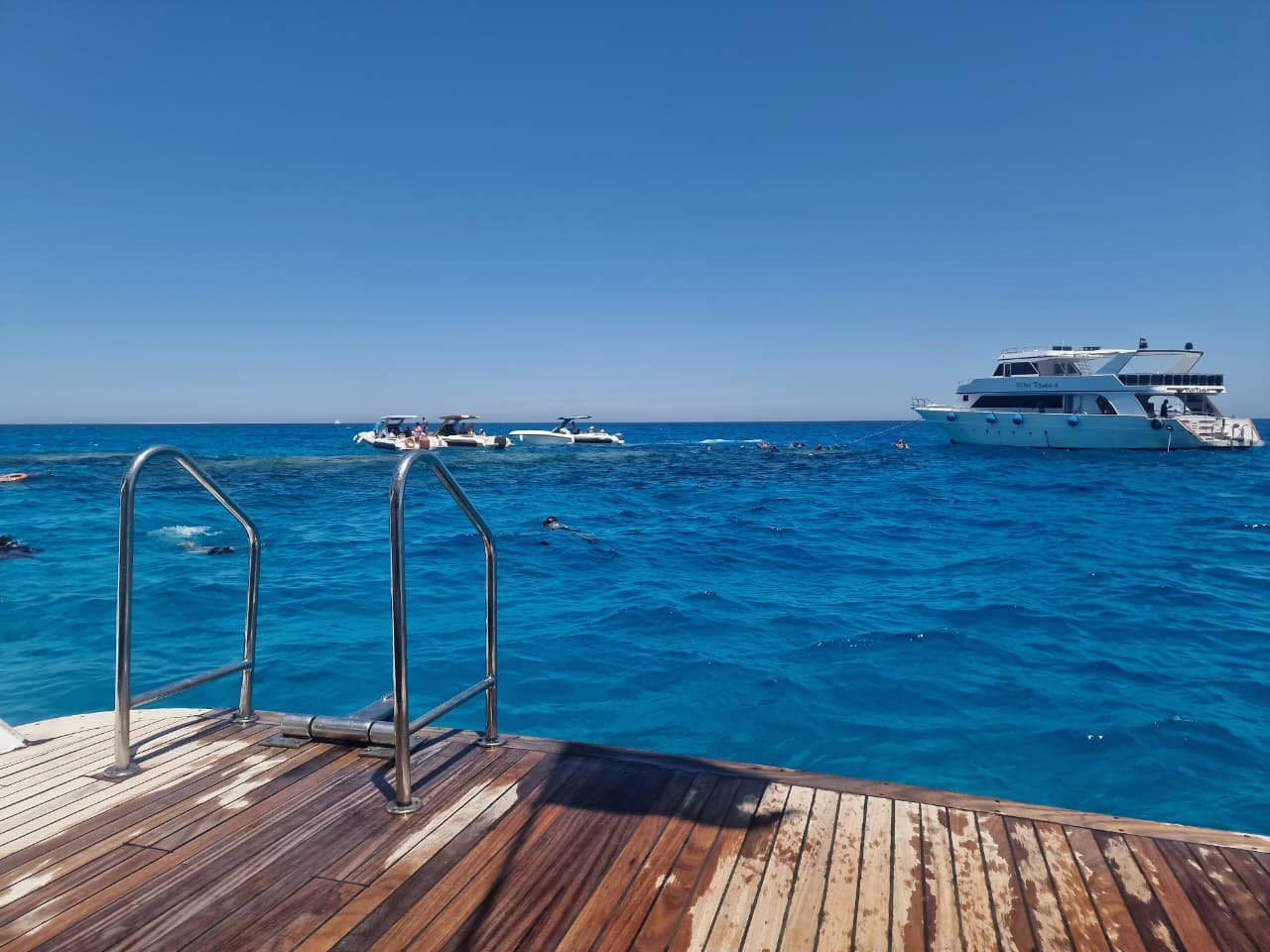 VIP Dolphin House Experience — photo 4